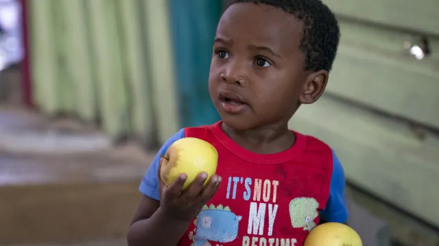 
                    Fome afeta cerca de 645 milhões de pessoas, quase metade em África
                