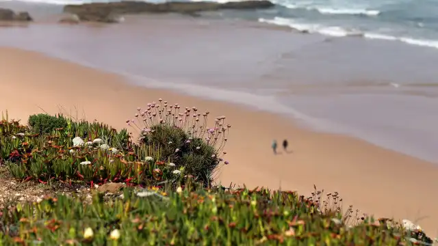 Foco de poluição detetado em praia do Algarve. Origem é desconhecida