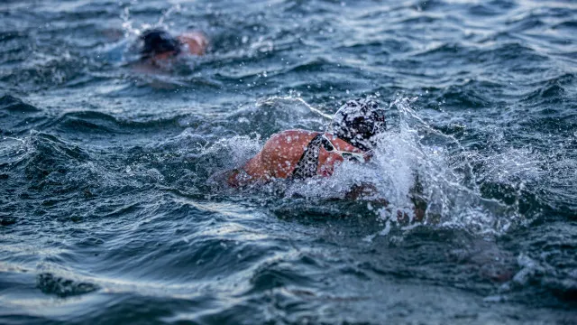 5 km em águas abertas: Diogo Cardoso e Mariana Mendes campeões nacionais