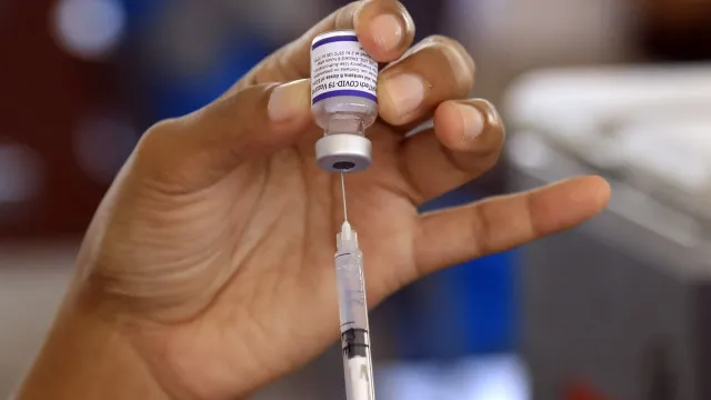 
                    Mais de 84 mil animais vacinados contra a raiva em Timor-Leste
                