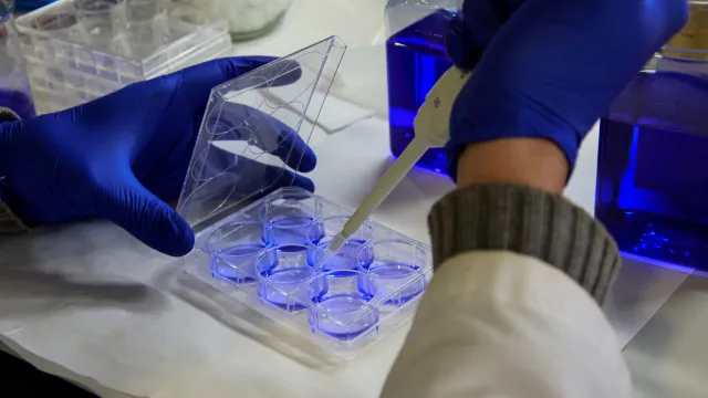 
                    Vacina contra cancro no cérebro mostra resultados promissores
                