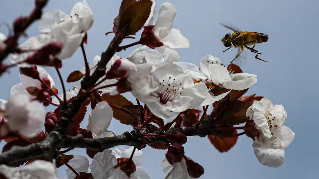 
                    Quercus lança nova edição de 