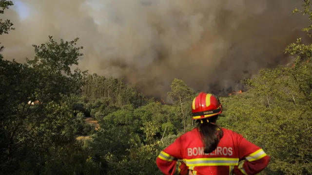 
                    Incêndio que se tinha reativado em Carrazeda de Ansiães está em resolução
                