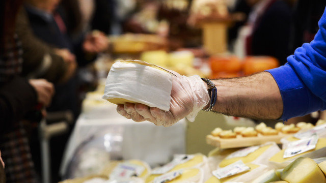 Melhor queijo do mundo é de ovelha, amanteigado… e português