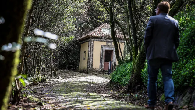 Mata do Bussaco serÃ¡ a primeira Floresta TerapÃªutica da PenÃnsula IbÃ©rica