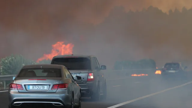 
                    Autoestrada A1 cortada nos dois sentidos entre Albergaria e a Mealhada
                