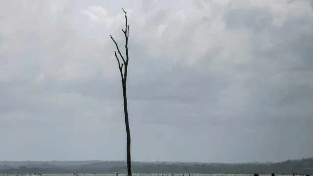 
                    Cresce probabilidade de El Niño entre maio e julho. Pode ser evento forte
                