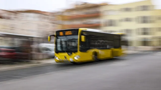 
                    Carris Metropolitana com crescimento de 7,2% no número de passageiros
                