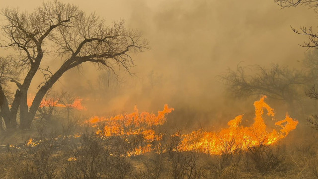 Pelo menos 1 morto e meio milhão de hectares devastados por fogo no Texas