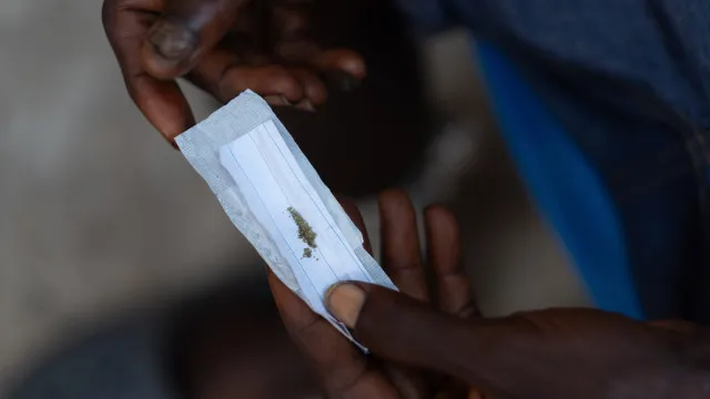 
                    Quatro detidos em tráfico de 3,7 toneladas de fentanil em Moçambique
                