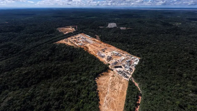 Florestas perderam 41 milhões de hectares numa década