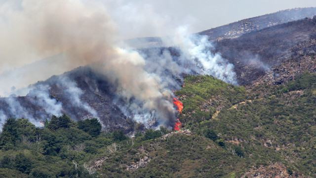 Fogo na Madeira? Governo oferece apoio, mas para já 