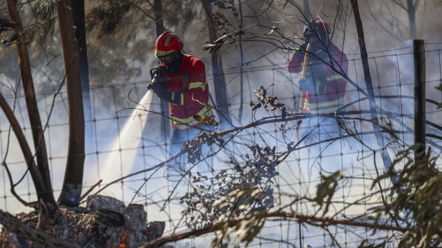 Perigo máximo de incêndio rural em mais de 100 concelhos do continente