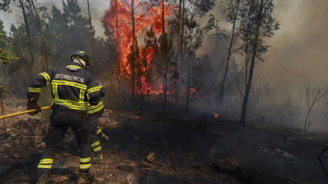 Incêndios causam sete mortos, casas destruídas e vias cortadas 