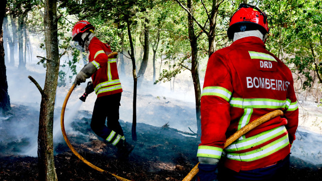 Fogo em Santo Tirso dominado desde as 17h30