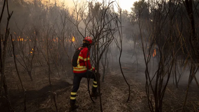 
                    Fogo em zona de mato de Vila Pouca de Aguiar está 