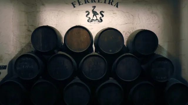 
                    Douro aumenta produção de vinho do Porto para as 76 mil pipas
                