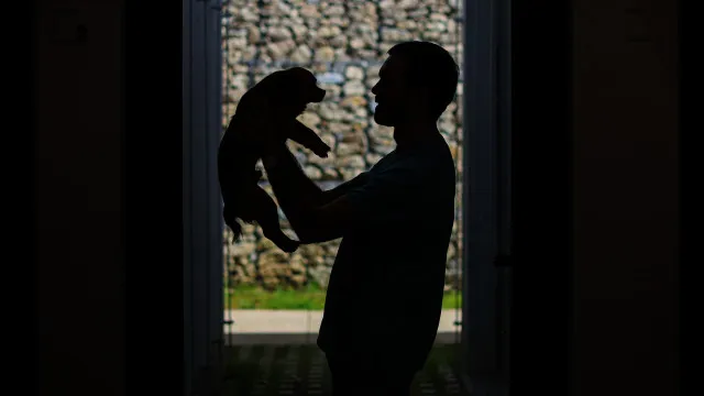 
                    Animais de companhia? Veterinários promovem petição para alterar IVA
                