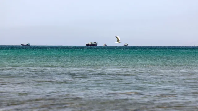 
                    Tráfego marítimo em Ormuz atinge nível mais elevado desde abril
                