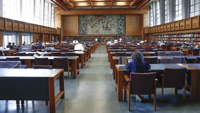 
                    DGLAB diz que faltam profissionais qualificados nas bibliotecas
                
