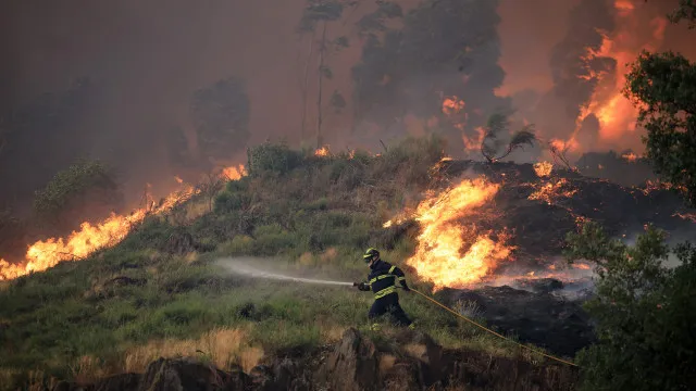 
                    Três dos quatro bombeiros feridos em Arouca estão em estado crítico
                