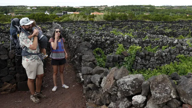 
                    N.º de dormidas em alojamentos turísticos nos Açores baixa há sete meses
                
