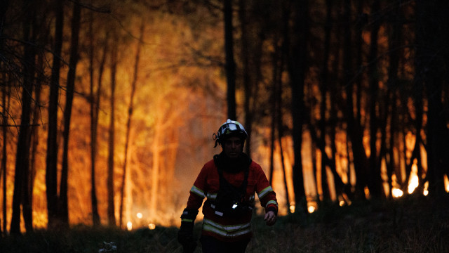 Torgueda e Sirarelhos. Dois fogos em Vila Real mobilizam 10 meios aéreos