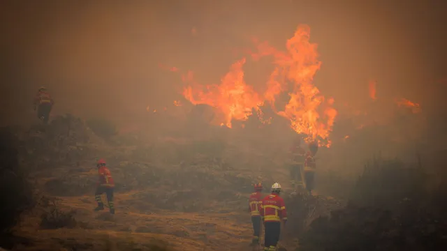 
                    Fogo de Moncorvo mantém frente ativa em Carrazeda, mas evolui bem
                