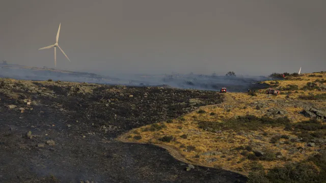 Fogo de Vila Pouca de Aguiar dominado e em fase de rescaldo
