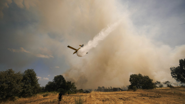 Quase 500 operacionais continuam a combater incêndio em Moimenta da Beira
