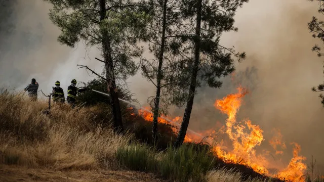 
                    Alentejo Litoral conta com 216 operacionais na fase mais crítica
                