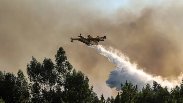 
                    Petição pede interferência de Seguro para comprar seis aviões Canadair
                