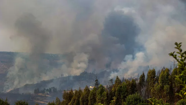 
                    Incêndio em Vouzela lavra desde as 03h00 e mobiliza oito meios aéreos
                