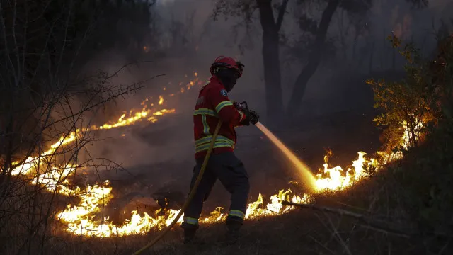 
                    Região de Coimbra reforça combate aos incêndios com 775 operacionais
                