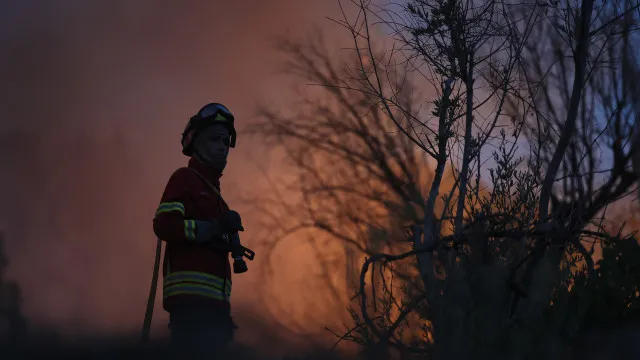 
                    Vinte e seis concelhos de nove distritos em perigo máximo de incêndio
                
