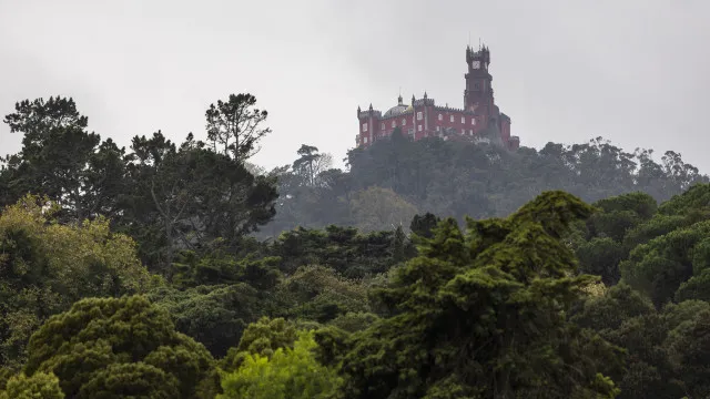 
                    Sintra reabre acessos ao perímetro florestal e monumentos estão abertos
                