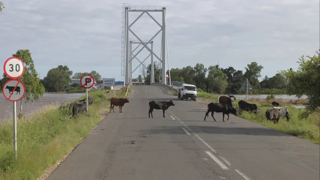 
                    Moçambique quer reabilitar e construir mais de 3.500 km de estradas
                