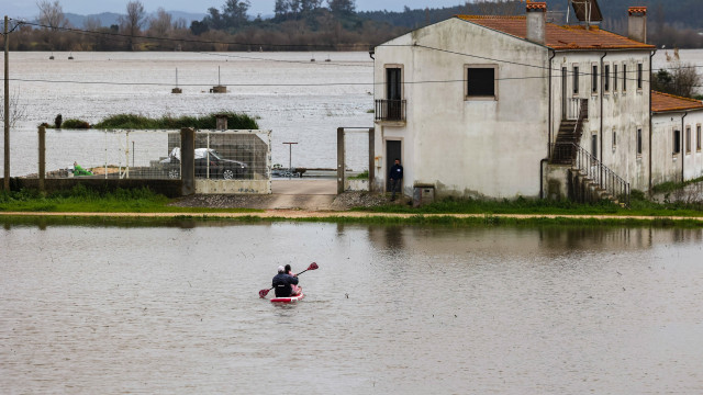 Brisa sugere alternativas à interrupção da A1 através da A8/A17/A25 ou IC2