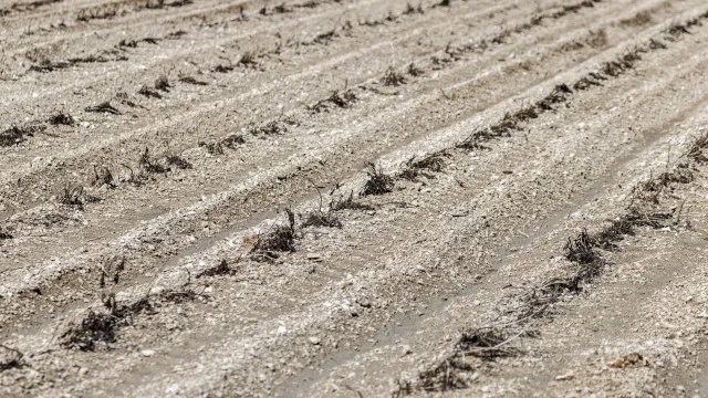 
                    Governo da província angolana do Namibe vai ao Alentejo falar sobre seca
                