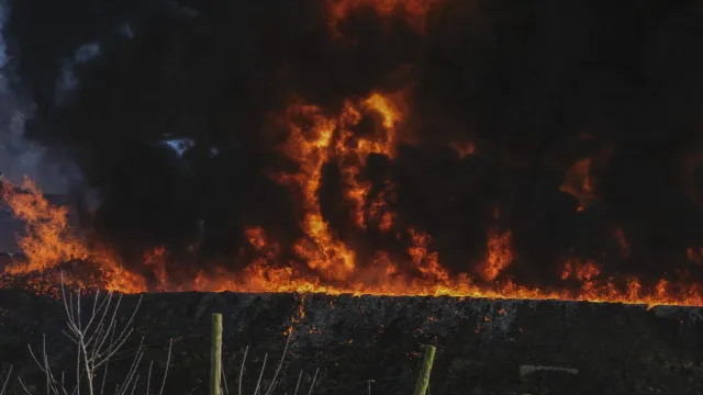 
                    Meios de combate a incêndios são reforçados com quase 12.000 operacionais
                