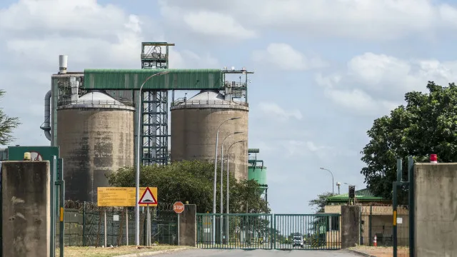 
                    Presidente procura solução para retoma da maior indústria moçambicana
                