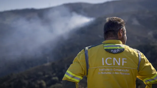
                    Atualização de áreas protegidas vai a consulta pública
                
