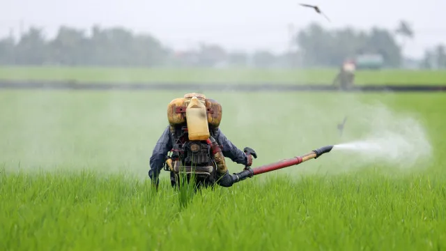 
                    ONU: Bloqueio do transporte de fertilizantes arrisca crise humanitária
                