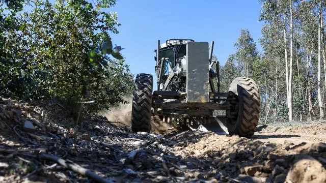 
                    Cerca 10 mil quilómetros de caminhos florestais desobstruídos
                