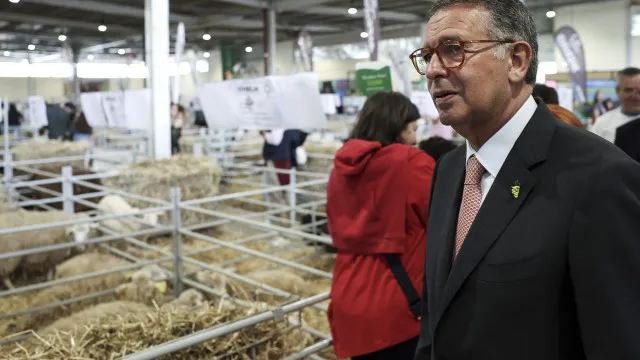 
                    Seguro destaca contributos da agricultura na prevenção dos incêndios
                