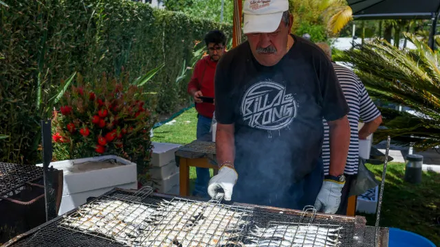 
                    Ministro com excelentes perspetivas para a safra da sardinha
                