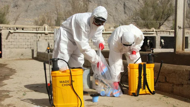 OMS alerta que epidemia de ébola pode prolongar-se na RDCongo