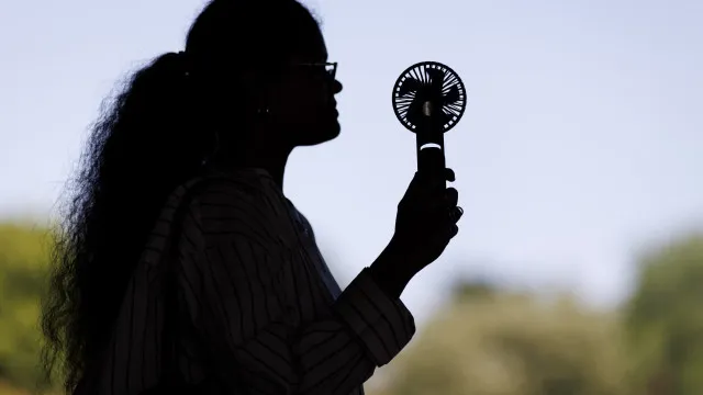 
                    Vaga de calor na Europa mostra consequências das alterações climáticas
                