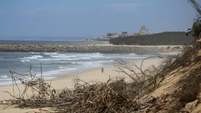 
                    Eixo Ovar-Espinho terá 