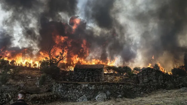 Seis mil hectares dos 15 mil ardidos no inÃcio do mÃªs sÃ£o de Vouzela